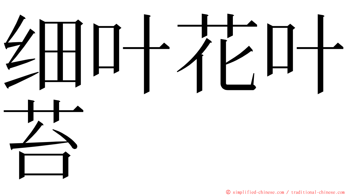 细叶花叶苔 ming font
