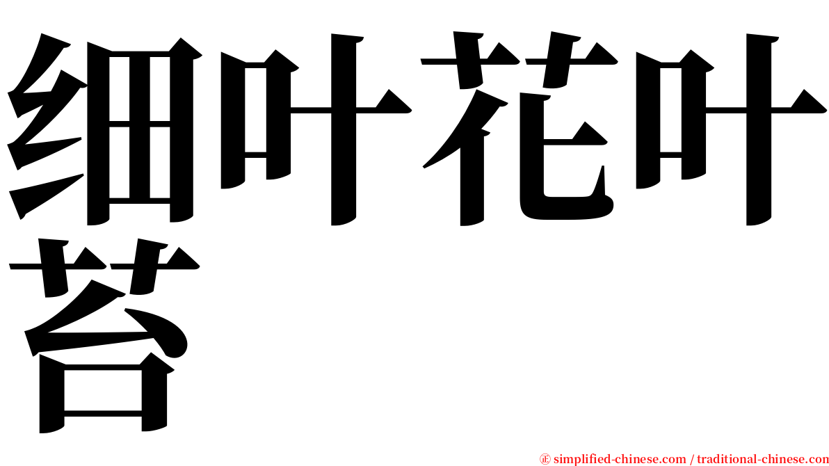 细叶花叶苔 serif font