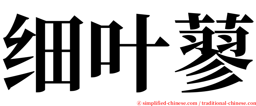 细叶蓼 serif font