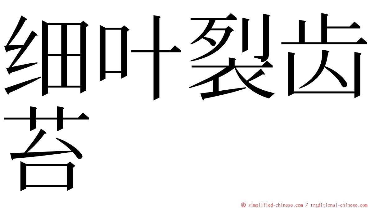 细叶裂齿苔 ming font