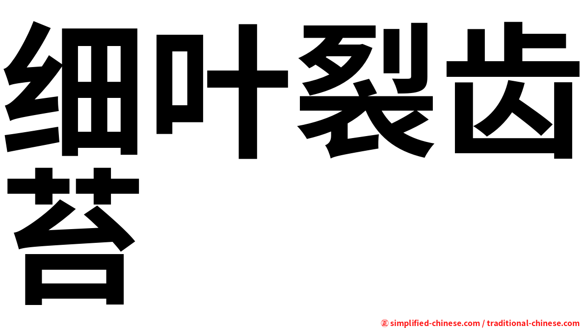 细叶裂齿苔