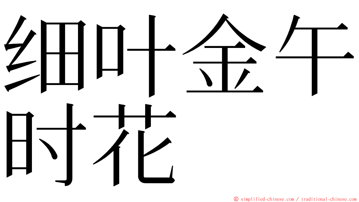 细叶金午时花 ming font