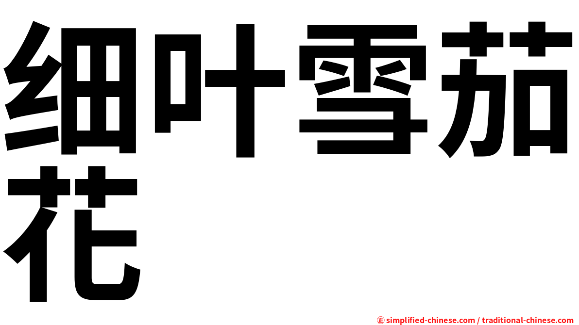 细叶雪茄花