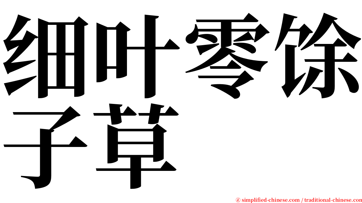 细叶零馀子草 serif font