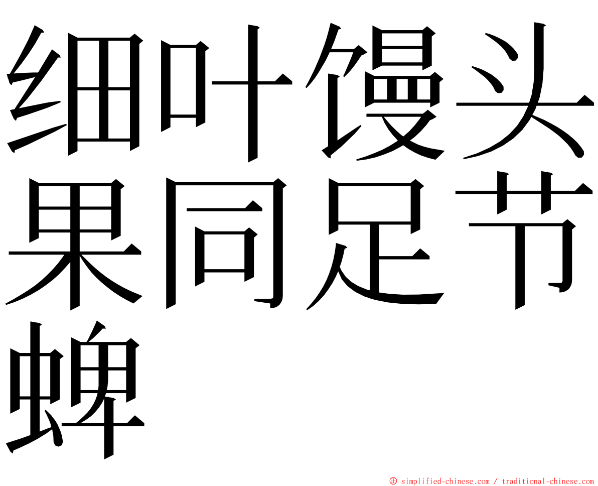 细叶馒头果同足节蜱 ming font