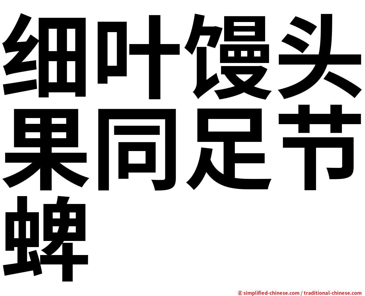细叶馒头果同足节蜱