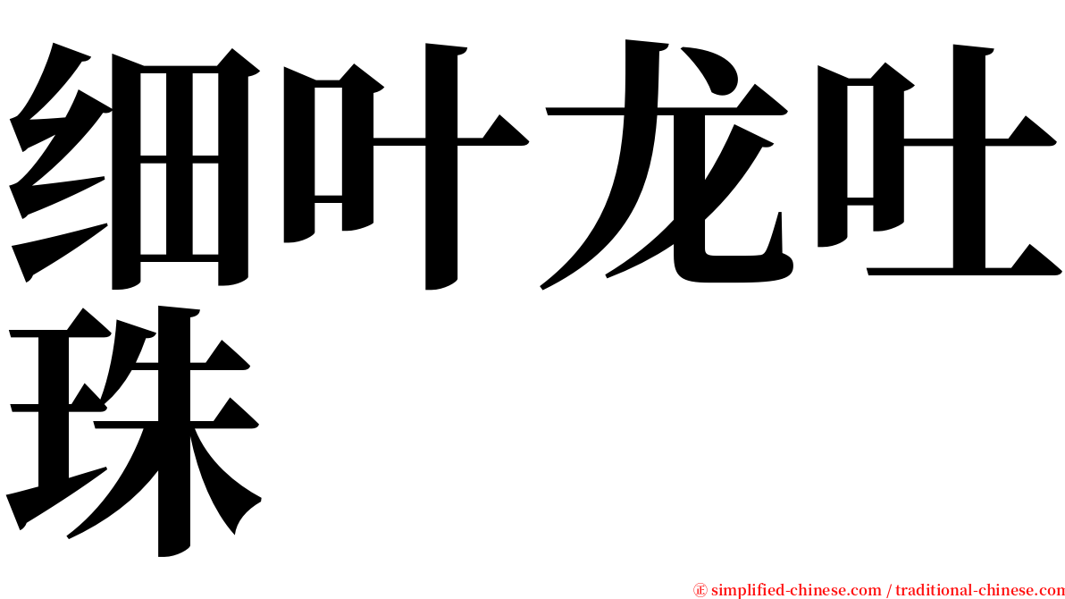细叶龙吐珠 serif font