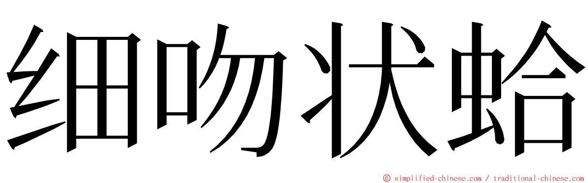 细吻状蛤 ming font