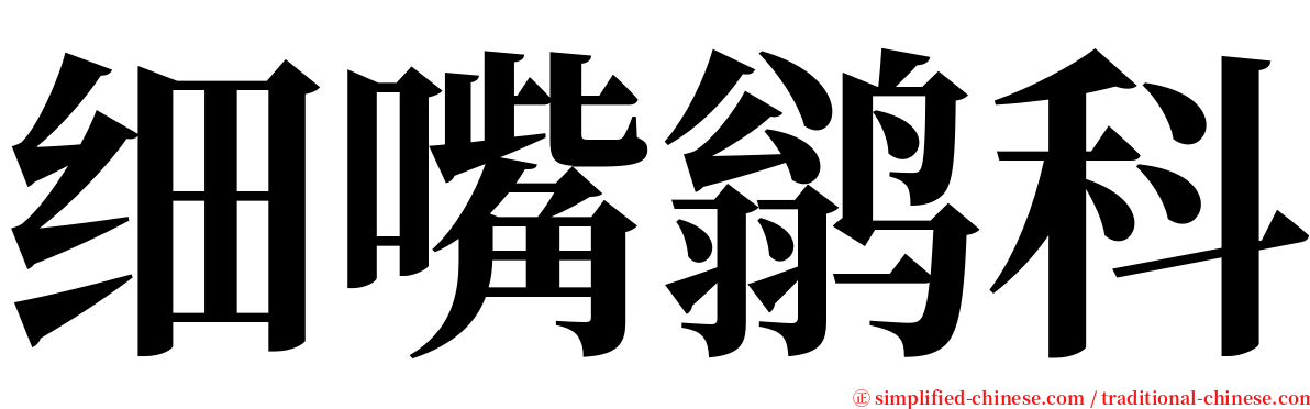 细嘴鹟科 serif font