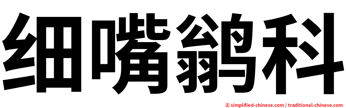 细嘴鹟科