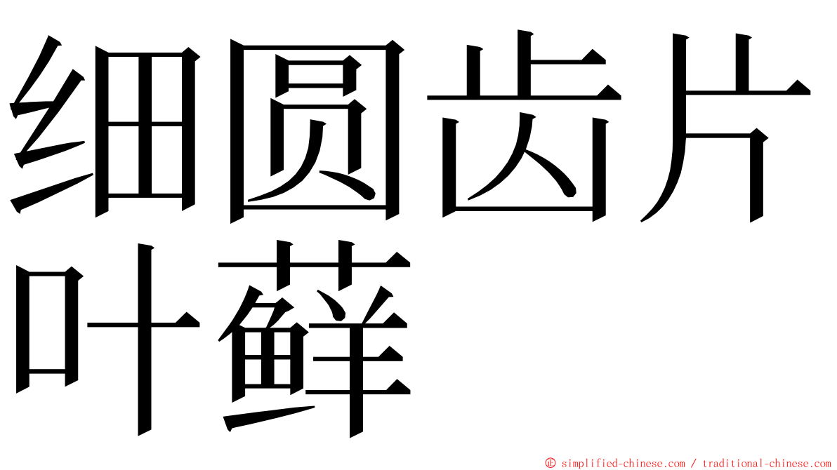 细圆齿片叶藓 ming font