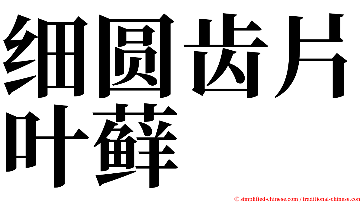 细圆齿片叶藓 serif font