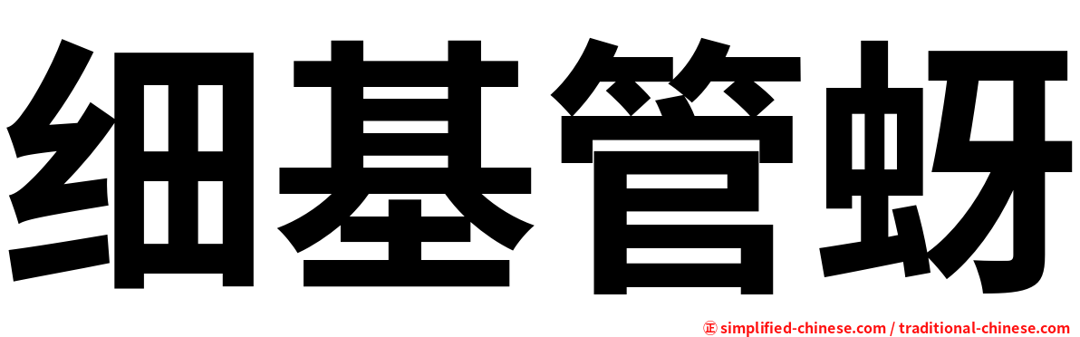 细基管蚜