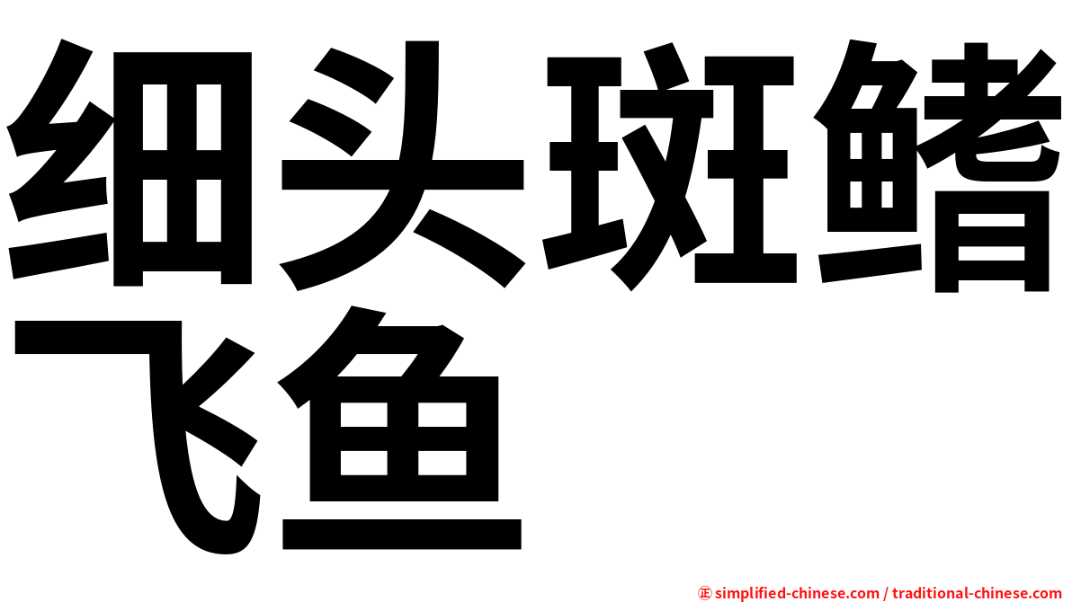 细头斑鳍飞鱼