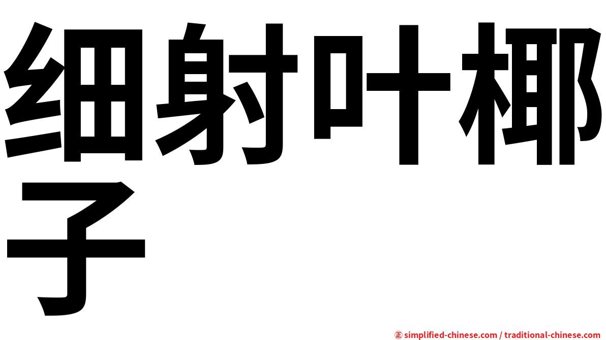 细射叶椰子