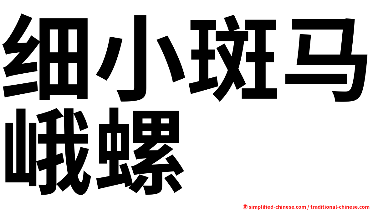 细小斑马峨螺