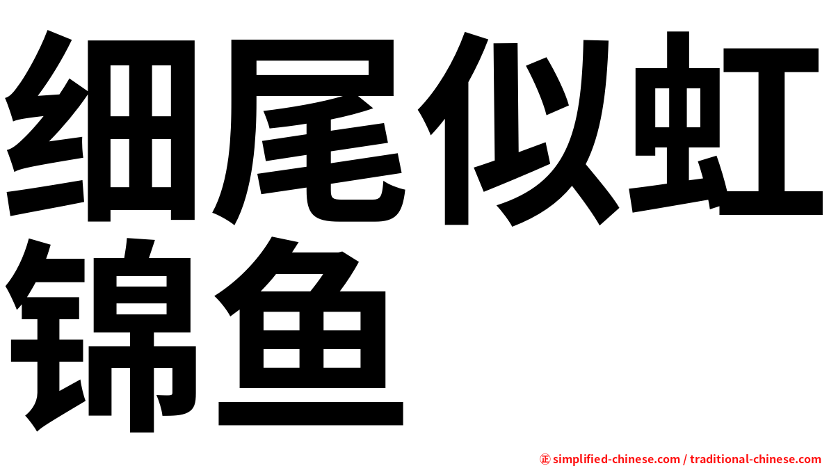 细尾似虹锦鱼