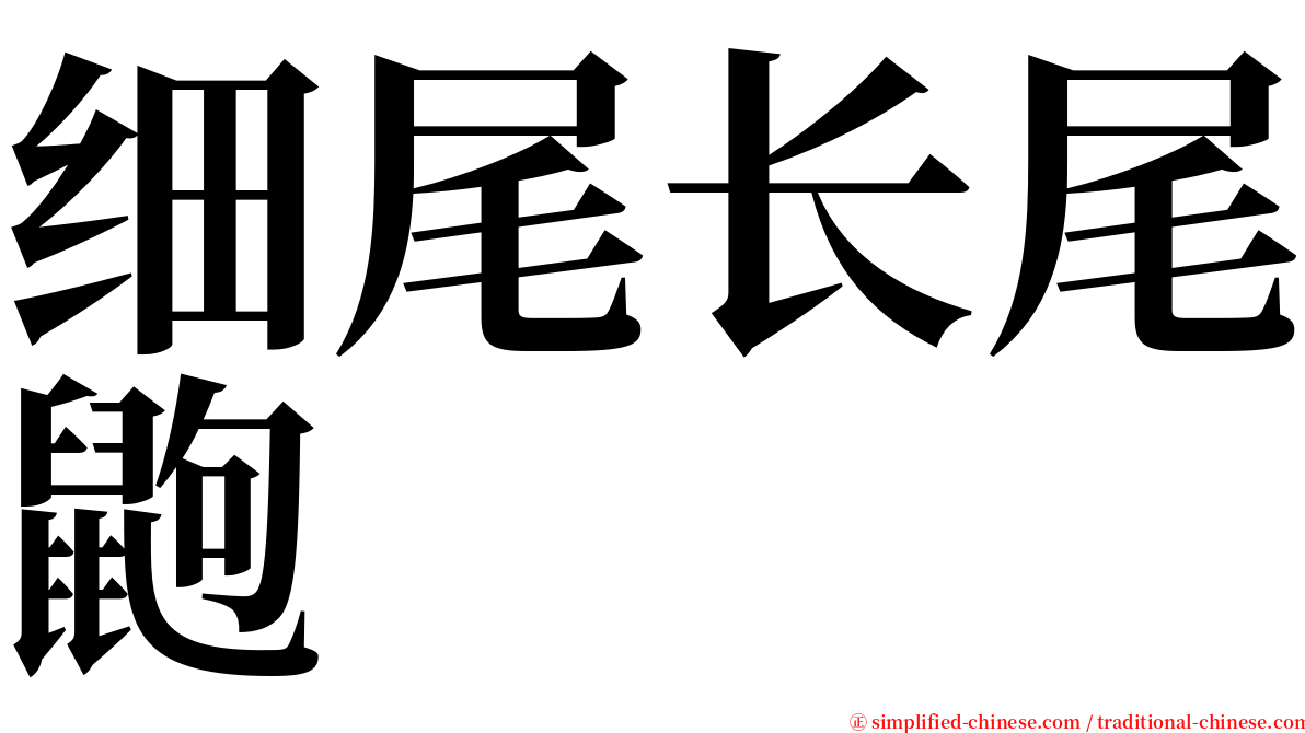 细尾长尾鼩 serif font