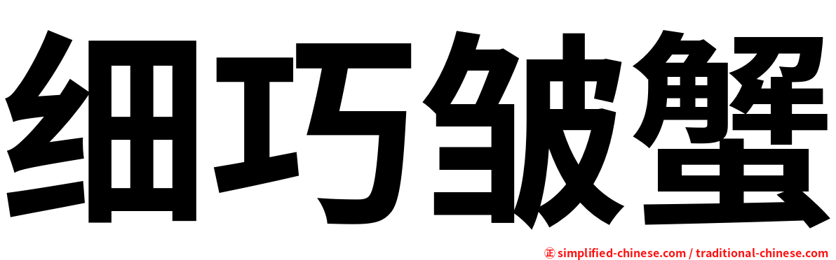 细巧皱蟹