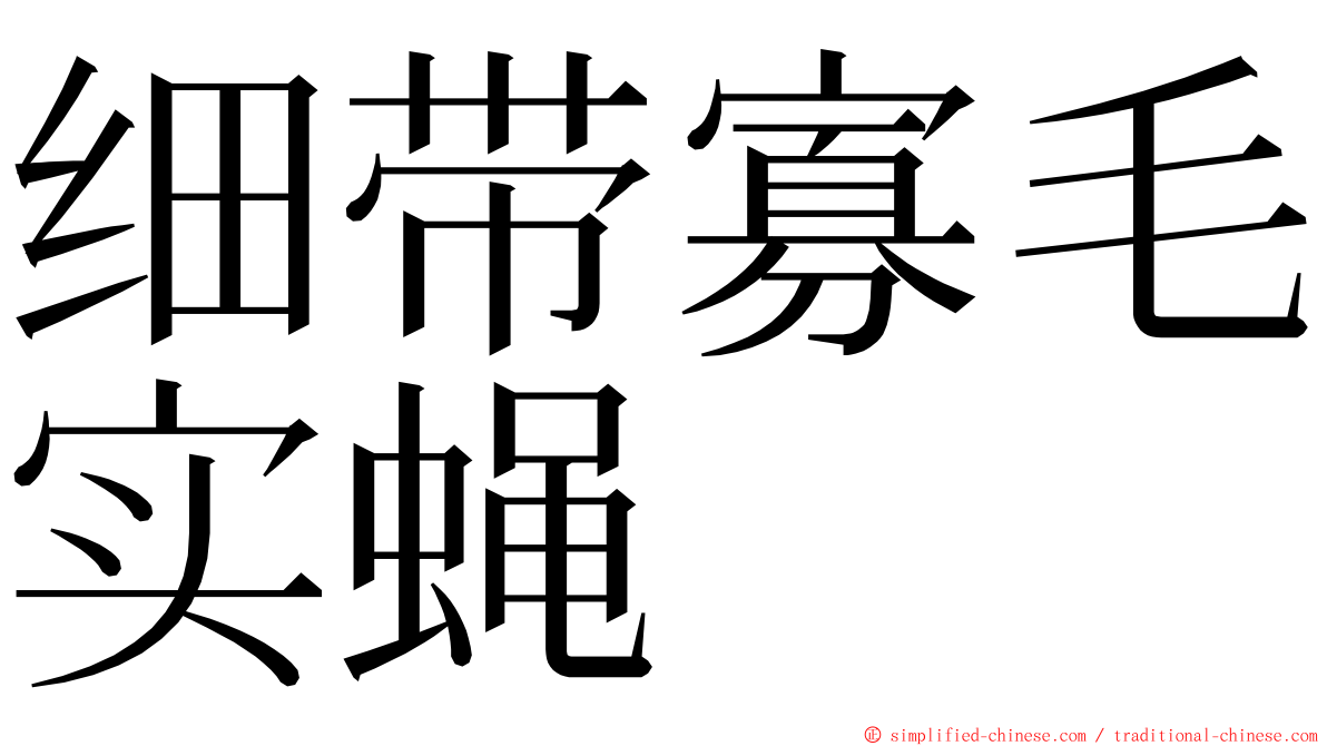 细带寡毛实蝇 ming font