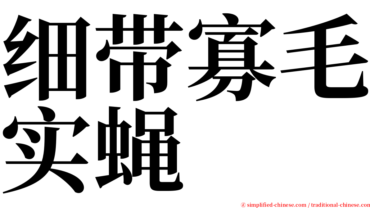 细带寡毛实蝇 serif font