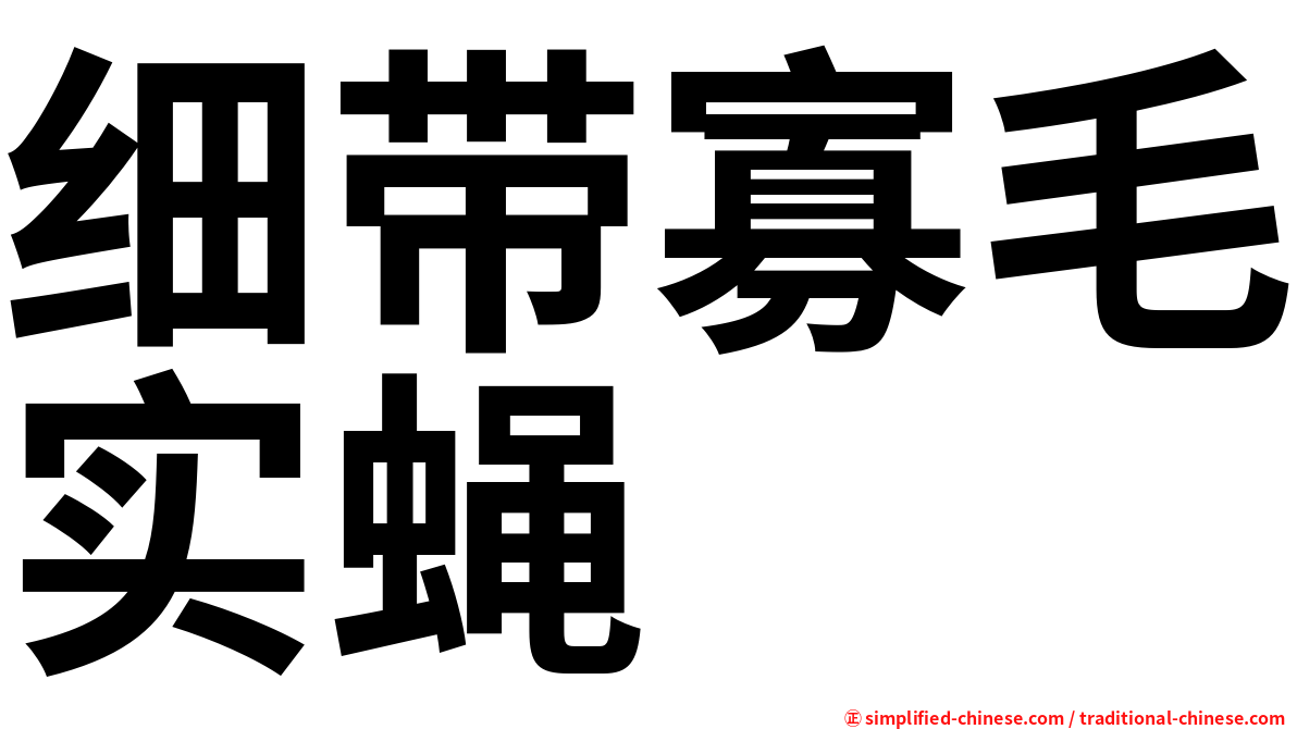细带寡毛实蝇