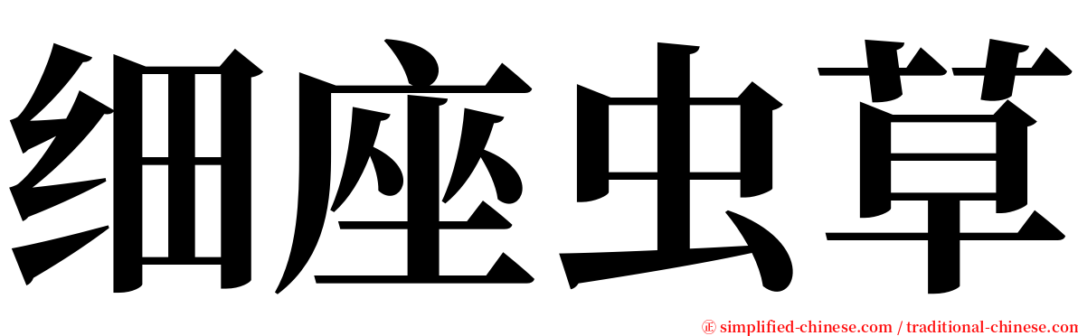 细座虫草 serif font