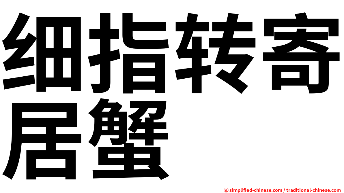 细指转寄居蟹