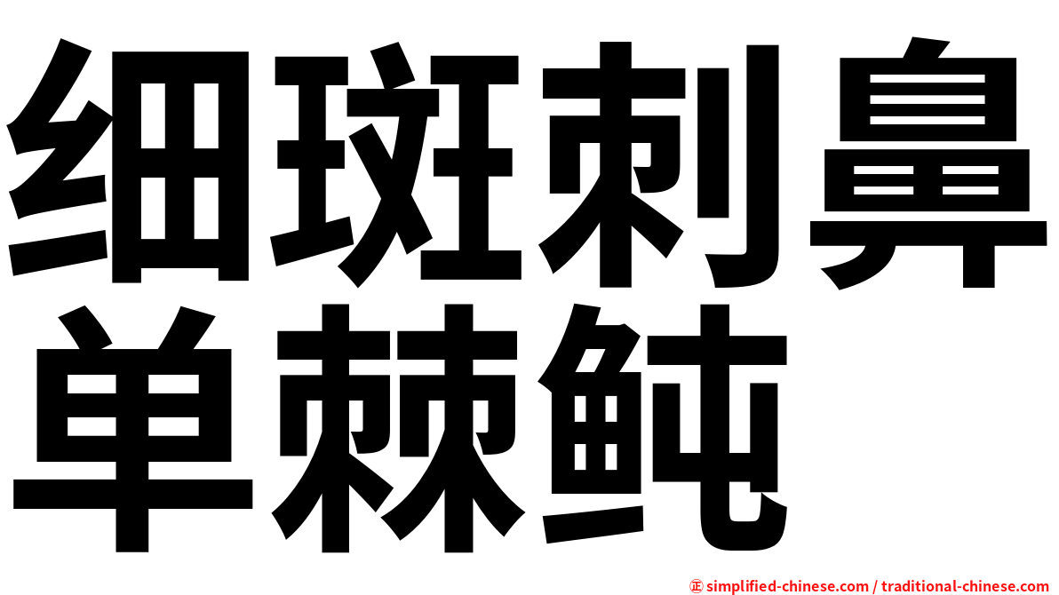 细斑刺鼻单棘鲀
