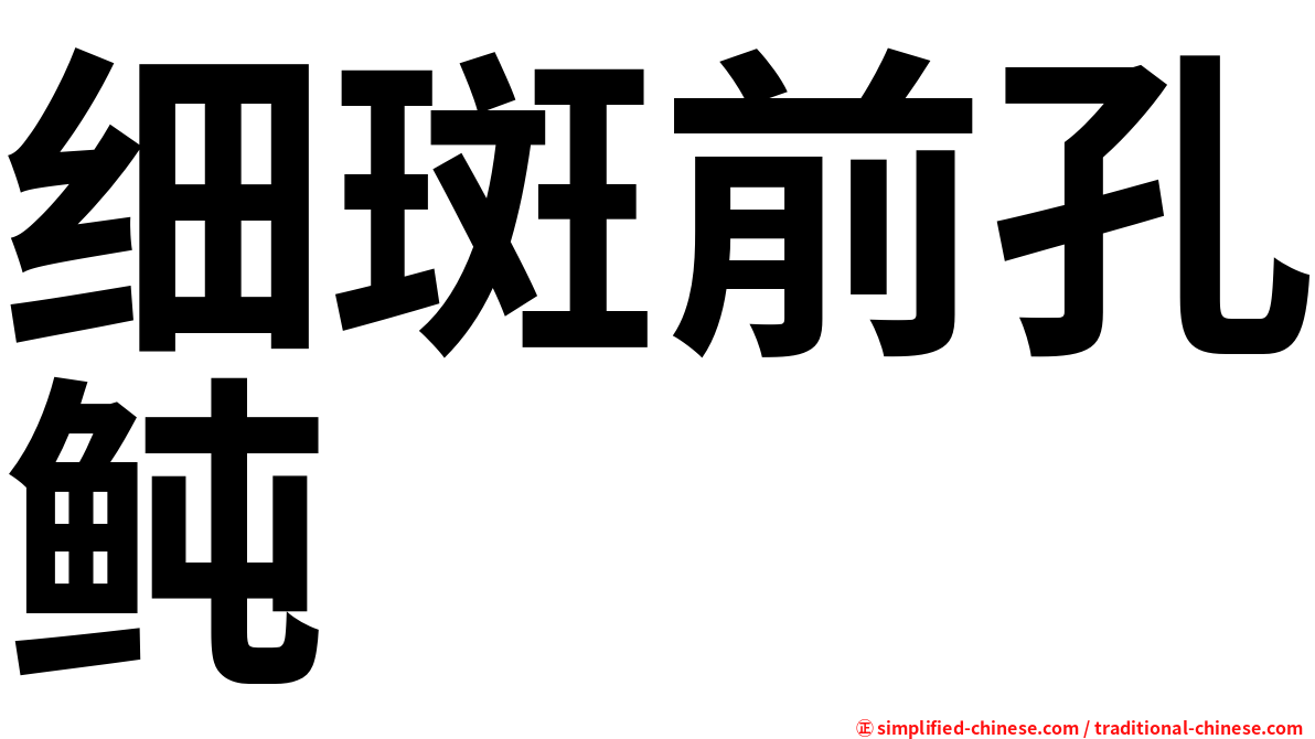 细斑前孔鲀