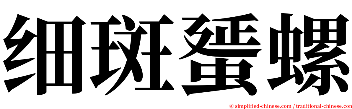 细斑蜑螺 serif font