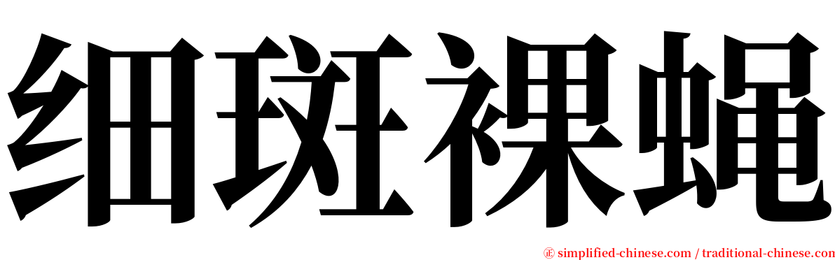 细斑裸蝇 serif font
