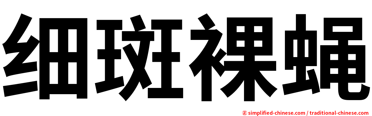 细斑裸蝇