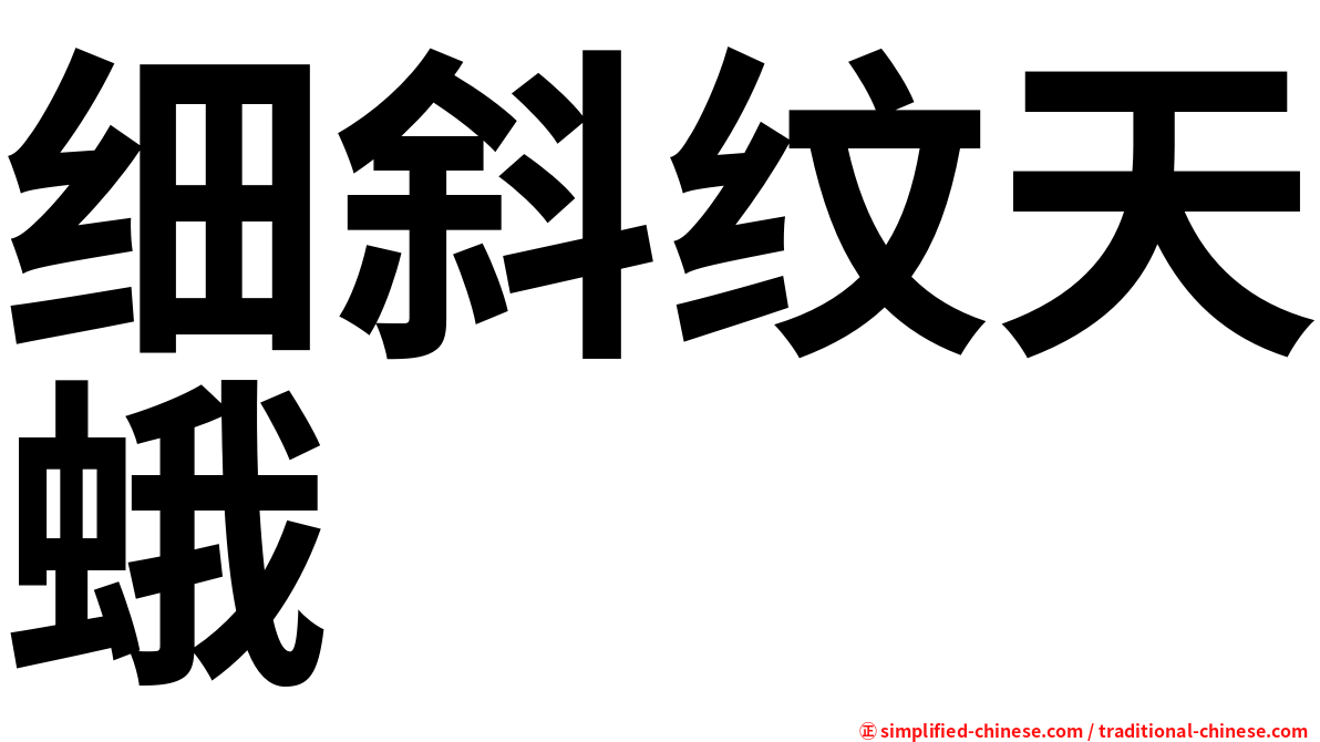 细斜纹天蛾