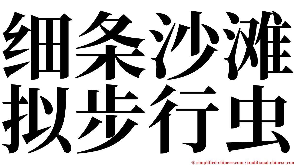 细条沙滩拟步行虫 serif font