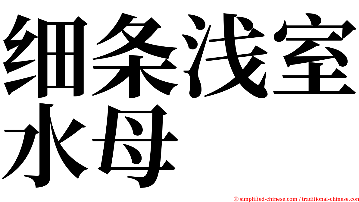 细条浅室水母 serif font