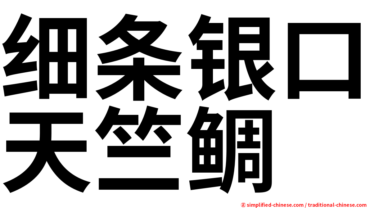 细条银口天竺鲷