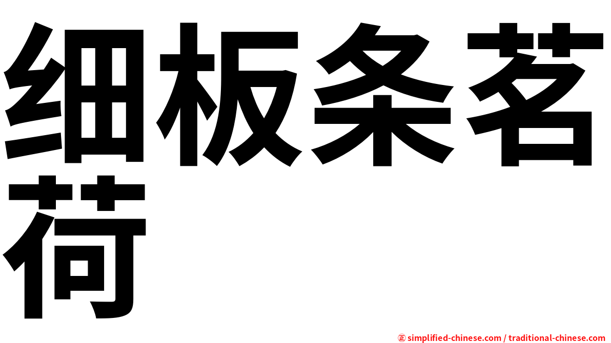 细板条茗荷