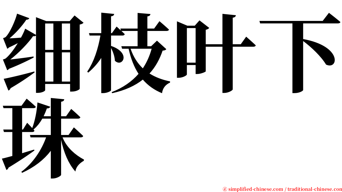 细枝叶下珠 serif font