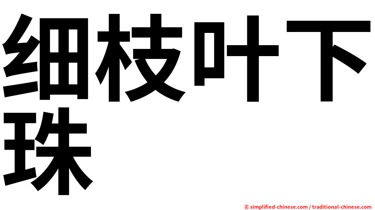 细枝叶下珠