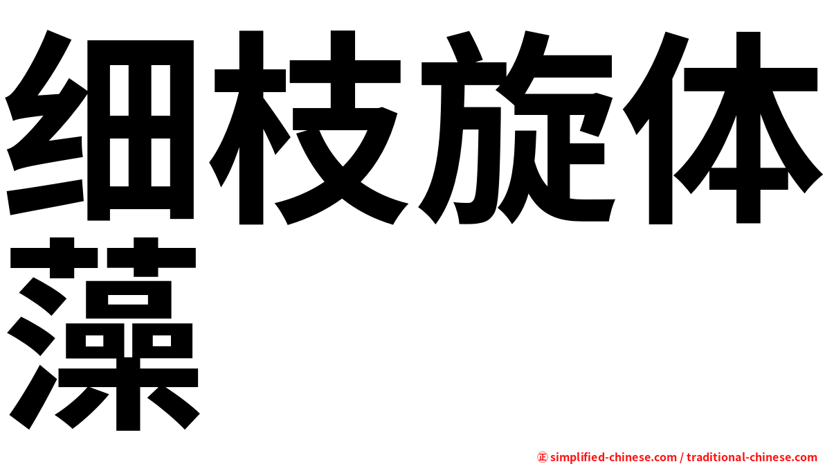 细枝旋体藻