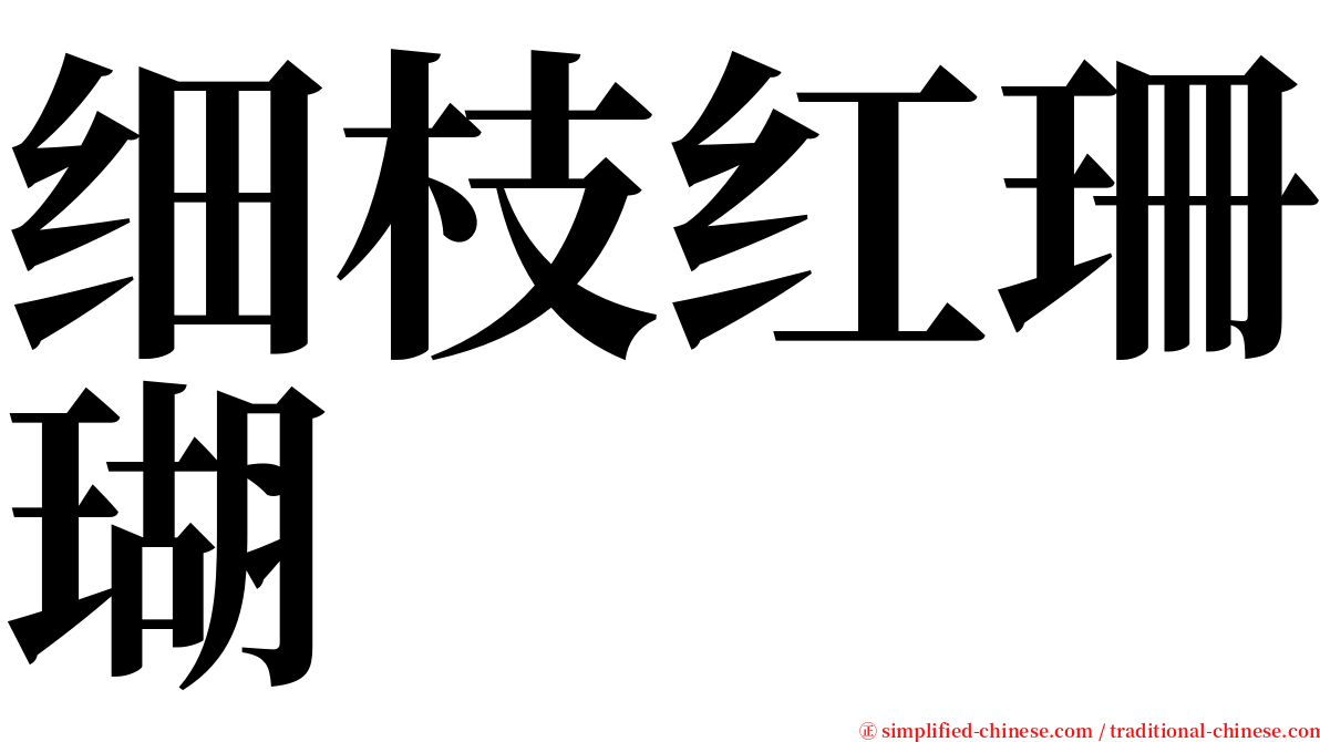 细枝红珊瑚 serif font