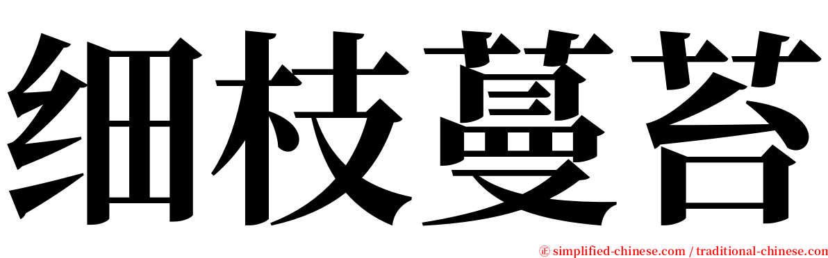 细枝蔓苔 serif font