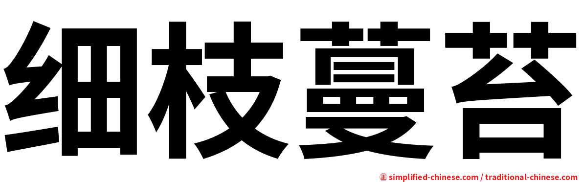 细枝蔓苔