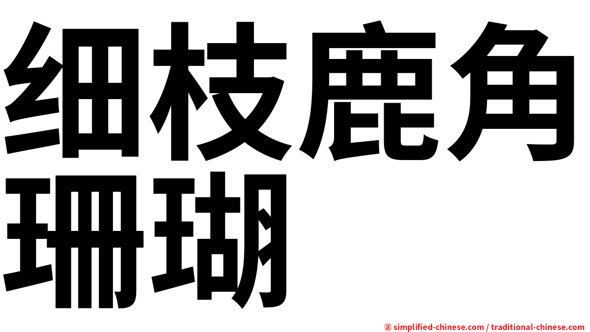 细枝鹿角珊瑚