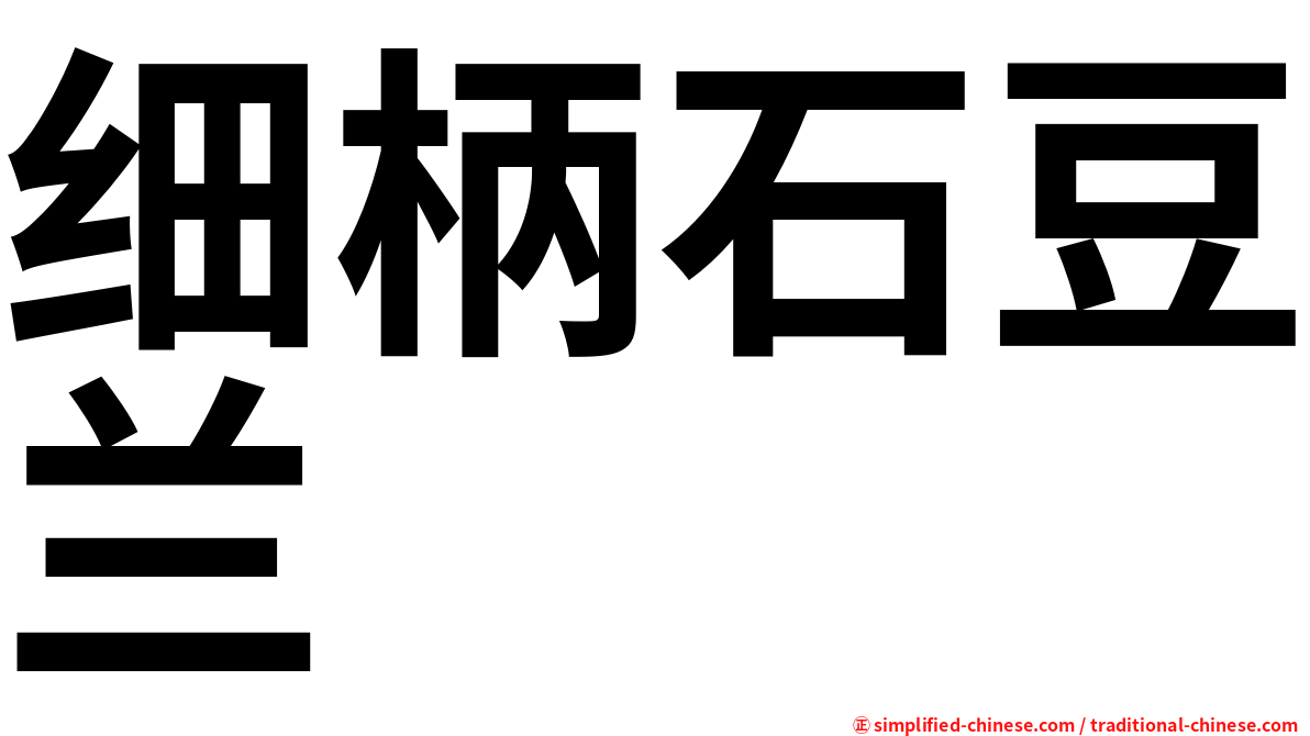 细柄石豆兰