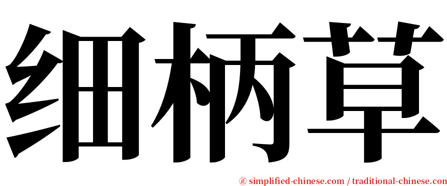 细柄草 serif font