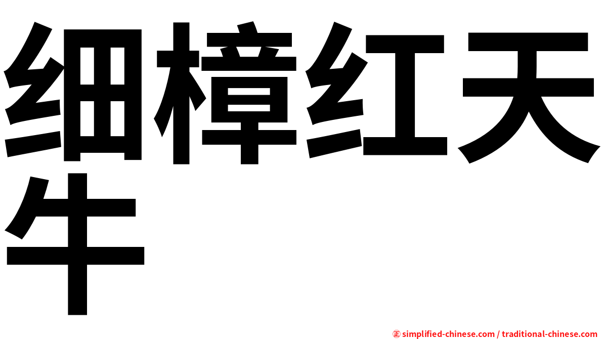 细樟红天牛