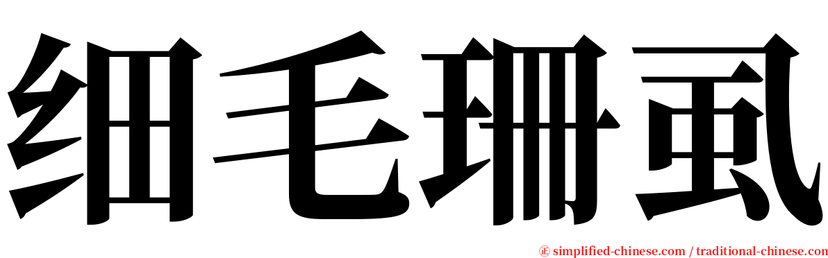 细毛珊虱 serif font
