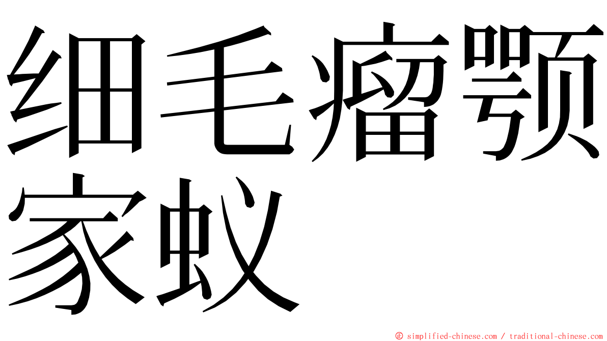 细毛瘤颚家蚁 ming font